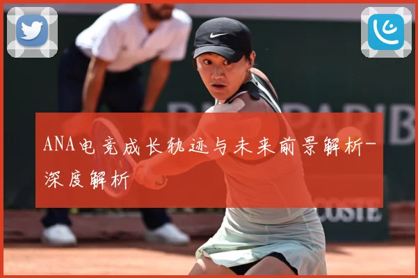 ANA电竞成长轨迹与未来前景解析-深度解析