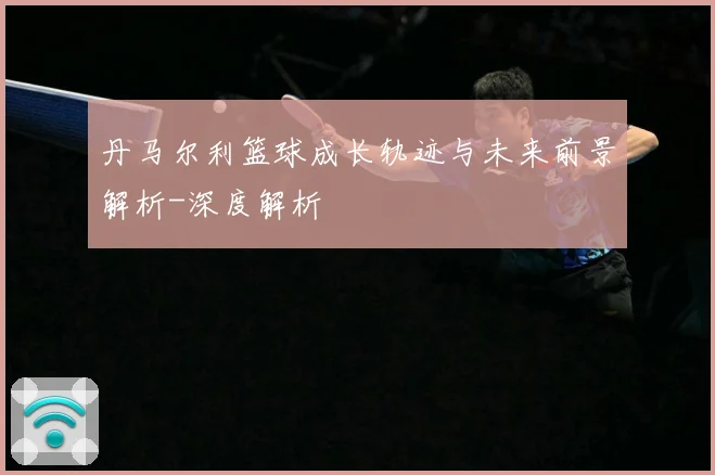 丹马尔利篮球成长轨迹与未来前景解析-深度解析