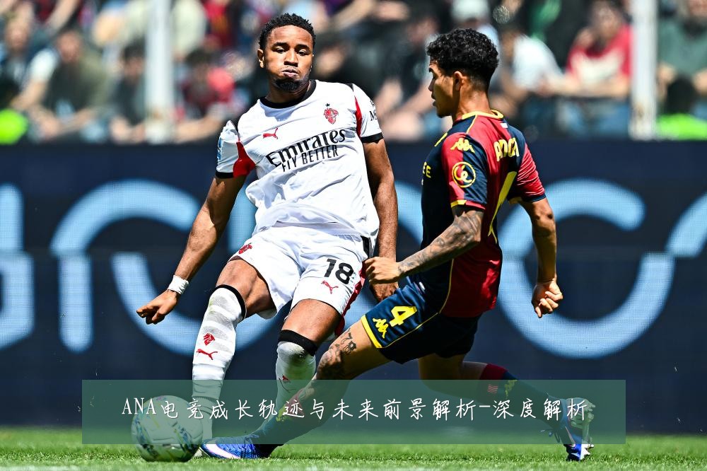 ANA电竞成长轨迹与未来前景解析-深度解析